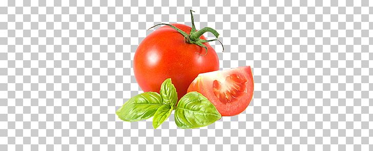 Pasta Tomato Juice Salsa Vinaigrette Tomato Sauce PNG, Clipart, Basil, Bell Pepper, Bush Tomato, Cherry Tomato, Diet Food Free PNG Download
