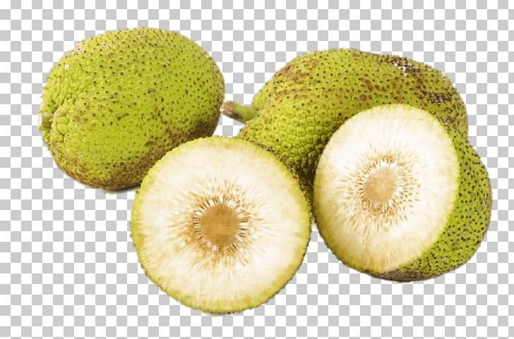 Breadfruit Jackfruit Food Tropical Fruit PNG, Clipart, Breadfruit, Carambola, Ekmek, Feijoa, Food Free PNG Download
