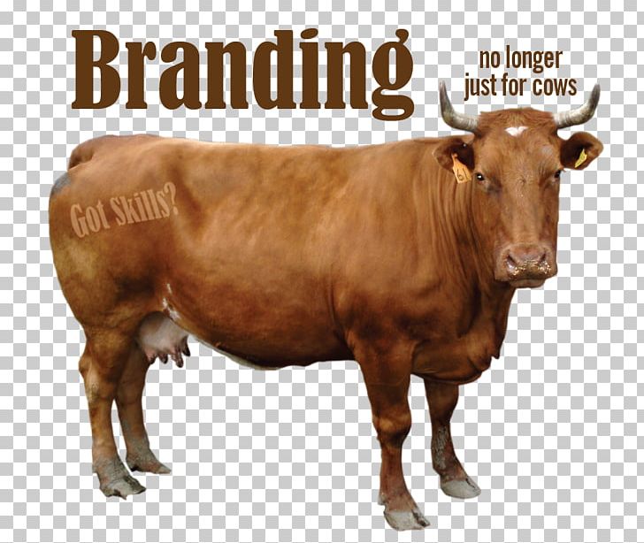 Sahiwal Cattle Guernsey Cattle Beef Cattle Deoni Cattle Water Buffalo PNG, Clipart, Beef Cattle, Bull, Cattle, Cattle Like Mammal, Cow Free PNG Download
