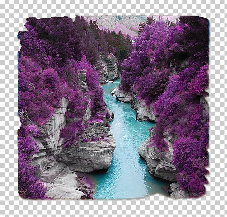 Shotover River Color Skye Photography Palette PNG, Clipart, Blue, Color, Color Scheme, Flam, Flower Free PNG Download