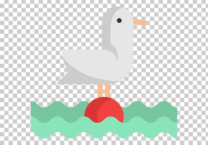 Gulls Computer Icons Bird Duck PNG, Clipart, Animal, Animals, Beak, Bird, Clip Art Free PNG Download
