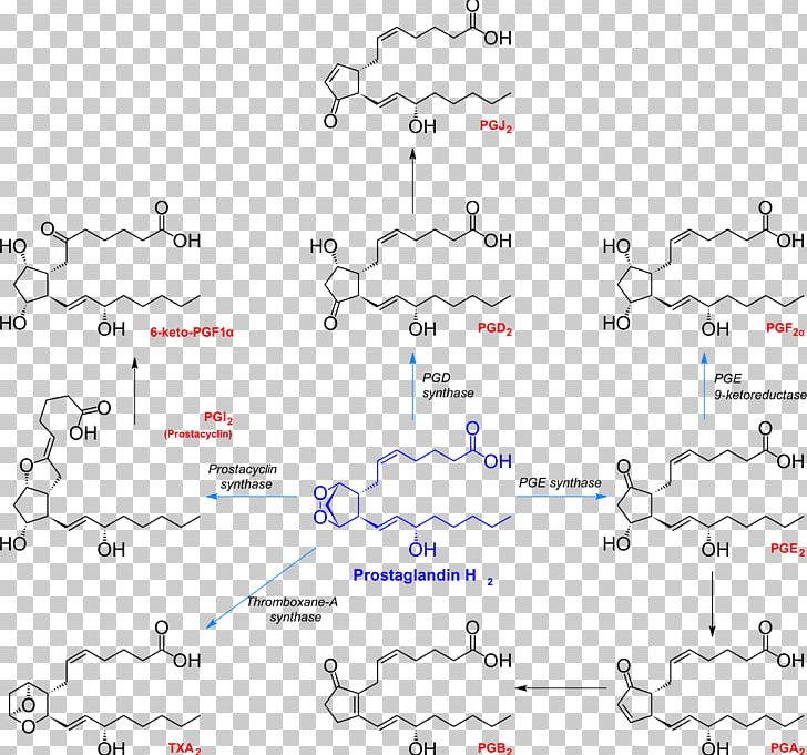 Prostaglandin H2 Thromboxane Chemical Synthesis Prostacyclin PNG, Clipart, Angle, Area, Art, Chemical Reaction, Chemistry Free PNG Download