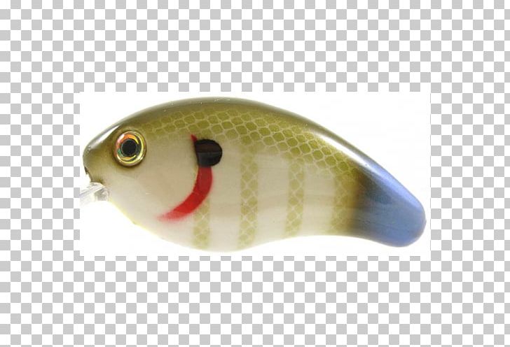 Spoon Lure Perch Fish AC Power Plugs And Sockets PNG, Clipart, Ac Power Plugs And Sockets, Bait, Bony Fish, Fish, Fishing Bait Free PNG Download