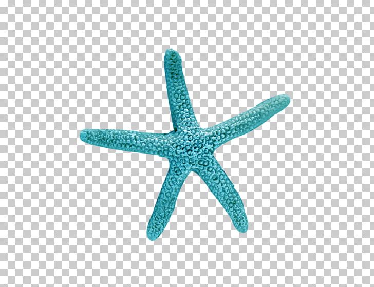 Starfish Blue Sea Turquoise PNG, Clipart, Animal, Animals, Aqua, Beautiful Starfish, Blue Free PNG Download
