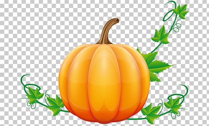 Pumpkin Pie Vegetable PNG, Clipart, Calabaza, Commodity, Creation, Cucumber Gourd And Melon Family, Desktop Wallpaper Free PNG Download