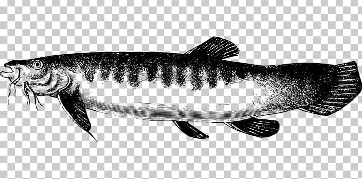Sardine Computer Icons Icon Design PNG, Clipart, Animal, Black And White, Bony Fish, Button, Catfish Free PNG Download
