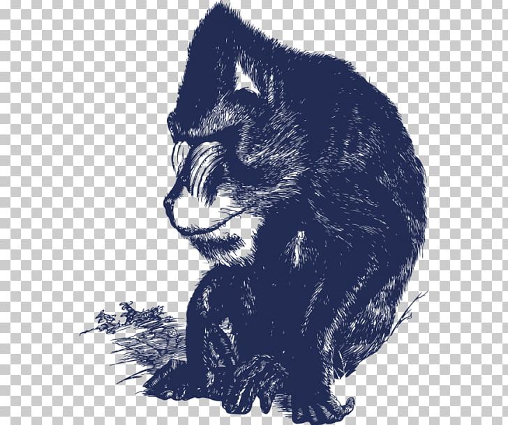 Black Cat Kitten Whiskers Raccoon PNG, Clipart, Animals, Baboon, Black, Black Cat, Black M Free PNG Download