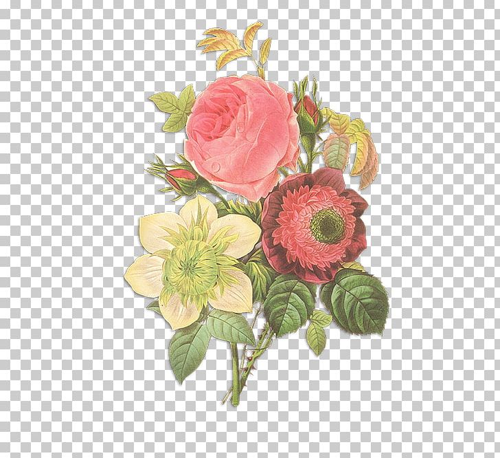 Flowers Pierre-Joseph Redouté (1759-1840) Rose Drawing PNG, Clipart, Artificial Flower, Botanical Illustration, Botany, Cut Flowers, Drawing Free PNG Download