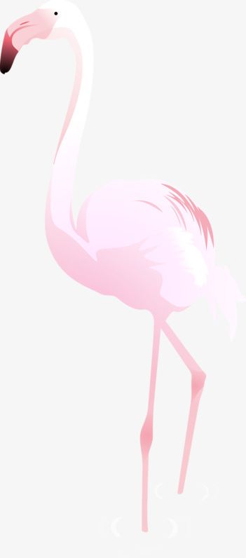 Pink Swan PNG, Clipart, Animal, Long, Long Neck, Neck, Pink Free PNG Download