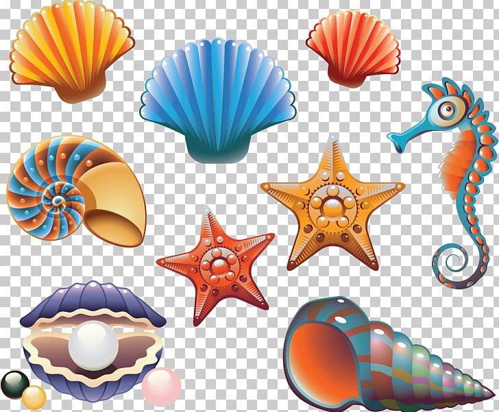 Seashell PNG, Clipart, Animals, Clip Art, Conch, Conchology, Crab Free PNG Download