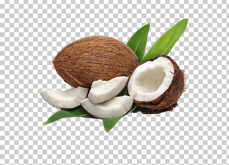 Coconut Milk Coconut Water Coconut Oil Meat PNG, Clipart, Coconut, Coconut Leaves, Coconut Milk, Coconut Oil, Coconut Tree Free PNG Download
