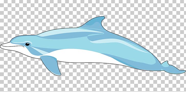 Common Bottlenose Dolphin Windows Metafile PNG, Clipart, Animals, Dolphin, Download, Encapsulated Postscript, Fauna Free PNG Download