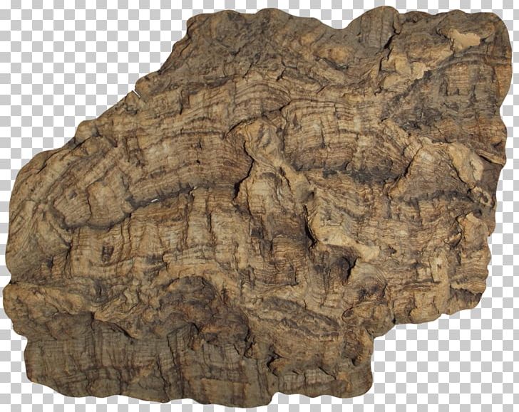 Bark Cork Tree Wood PNG, Clipart, Artifact, Bark, Bedrock, Cari, Cork Free PNG Download