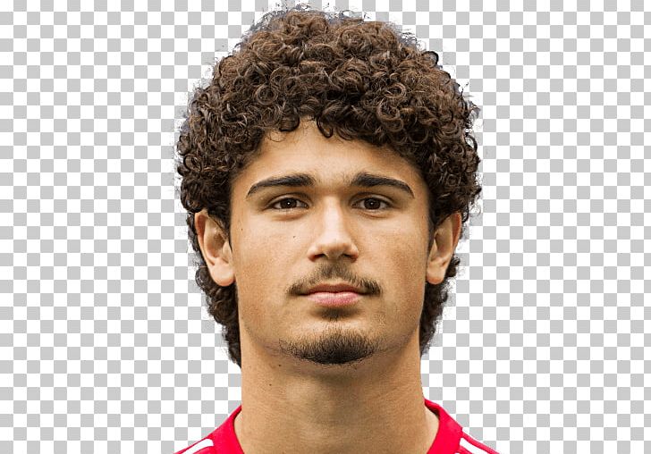 André Ramalho Silva Wiki Method Stub Afro Jheri Curl PNG, Clipart, Afro, Andre Ramalho Silva, Brown Hair, Chin, Facial Hair Free PNG Download