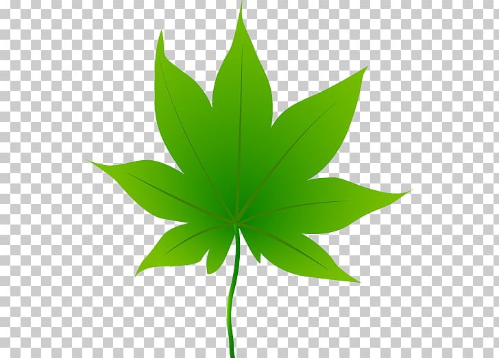 Cannabis Sativa Cannabis Ruderalis PNG, Clipart, Cannabis, Cannabis Cultivation, Cannabis Ruderalis, Cannabis Sativa, Drawing Free PNG Download