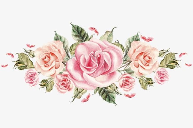 Hand-painted Pink Roses Cluster PNG, Clipart, Beautiful, Beautiful Flower Cluster, Bouquet, Bouquet Of Roses, Bouquets Of Roses Free PNG Download