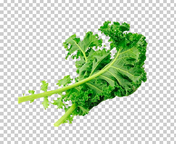 Kale Romaine Lettuce Collard Greens Spring Greens Rapini PNG, Clipart, Broccoli, Chard, Collard Greens, Common Beet, Food Free PNG Download