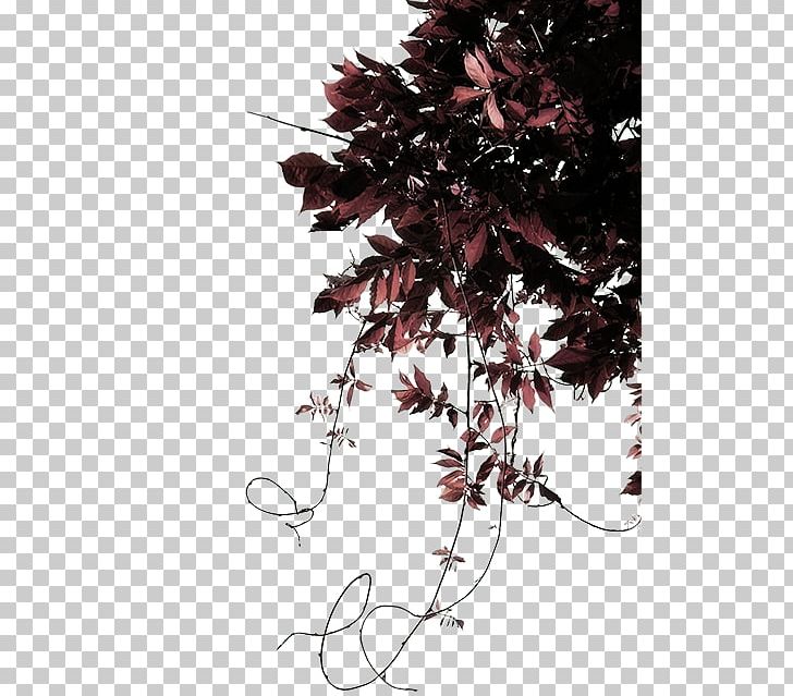 Leaf Sculpture Ornamental Plant PNG, Clipart, Agaclar, Branch, Fig Leaf, Flower, Flowering Plant Free PNG Download