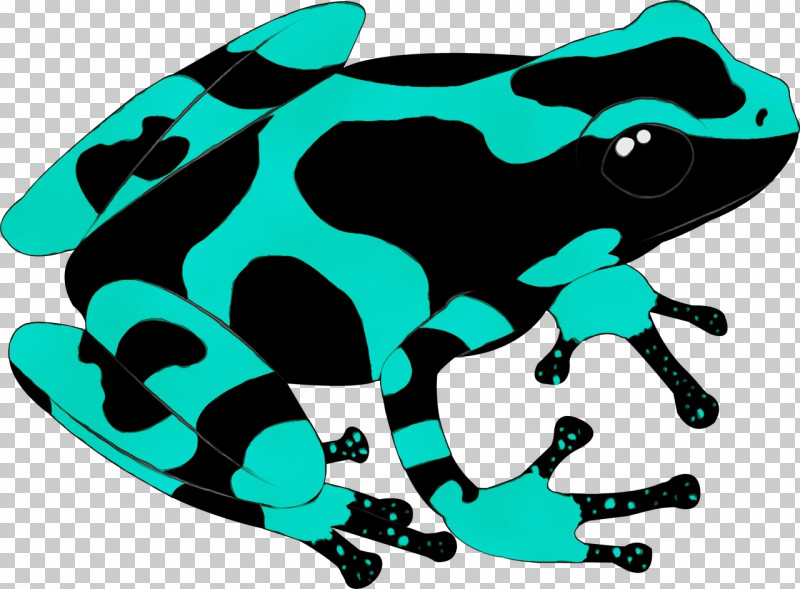 Toad Frogs Amphibians Frog Tree Frog PNG, Clipart, Amphibians, Cartoon, Frog, Frogs, Jungle Free PNG Download