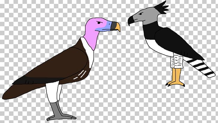 Beak Cygnini Goose Bird Duck PNG, Clipart, Anatidae, Animals, Beak, Bird, Bird Of Prey Free PNG Download