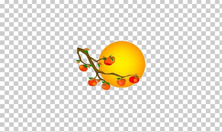 Persimmon Orange Moon PNG, Clipart, Autumn, Autumn Leaf, Autumn Leaves, Autumn Tree, Branches Free PNG Download