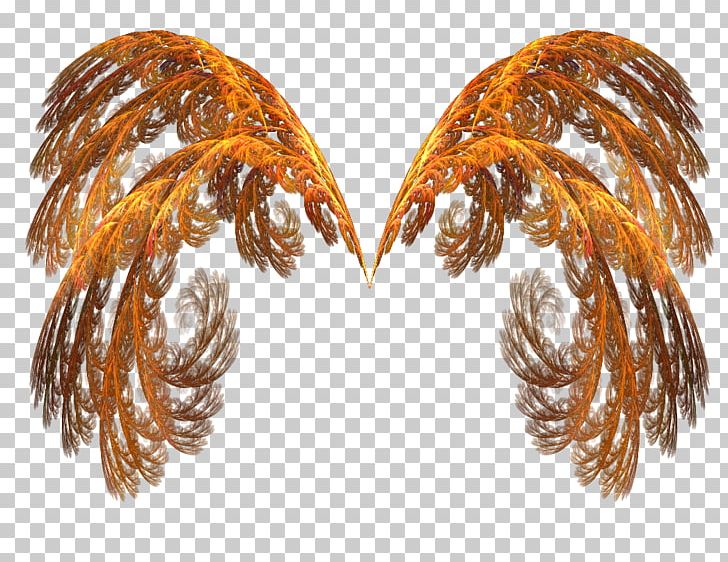 Wings Of Fire PNG, Clipart, Art, Clip Art, Fire, Flame, Miscellaneous Free PNG Download