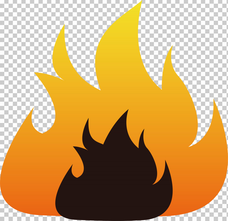 Fire Flame PNG, Clipart, Biology, Fire, Flame, Leaf, Meter Free PNG Download