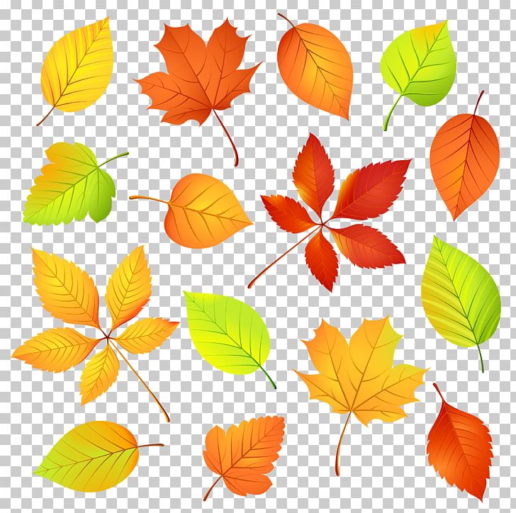 Autumn Leaf Color Watercolor Painting PNG, Clipart, Autumn, Autumn Leaf Color, Autumn Leaves, Branch, Color Free PNG Download
