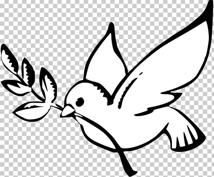 Columbidae Black And White Doves As Symbols PNG, Clipart, Artwork, Beak ...