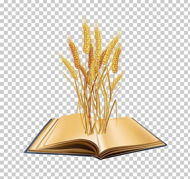 Ear Cereal Wheat Berry PNG, Clipart, Cereal, Commodity, Common Wheat, Ear, Encapsulated Postscript Free PNG Download