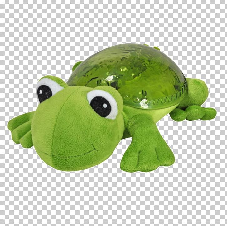 Frog Amazon.com Turtle Child Light PNG, Clipart, Amazoncom, Amphibian, Animals, Child, Color Free PNG Download