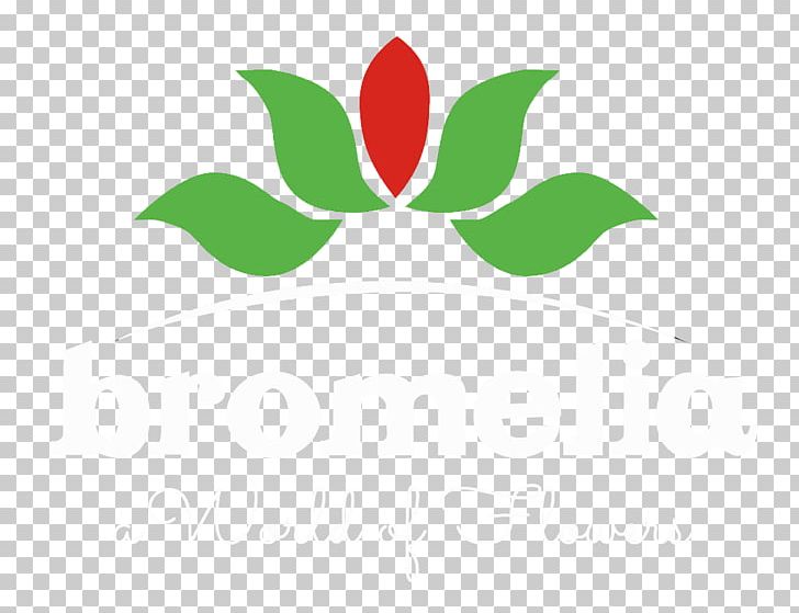 PT Bromelia Indah Product Prairie Gentian Shopping Jalan Sulaiman PNG, Clipart, Bromelia, Computer Wallpaper, Flower, Globe Amaranth, Green Free PNG Download