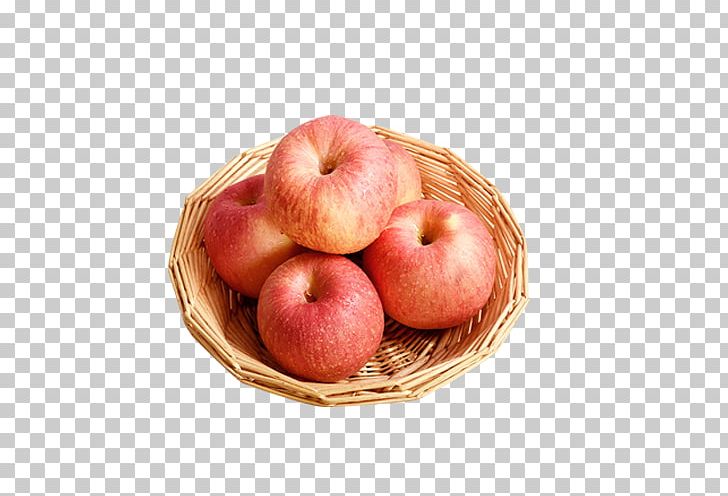 Apple Auglis Fruit PNG, Clipart, Adobe Illustrator, Apple, Apple Fruit, Apple Logo, Apple Tree Free PNG Download