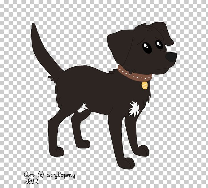 Dog Pony Cat Pet Puppy PNG, Clipart, Animals, Black, Canidae, Carnivoran, Cat Free PNG Download