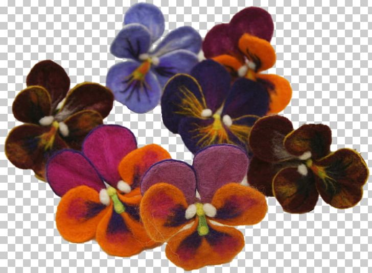 Moth Orchids Cut Flowers Petal PNG, Clipart, Cut Flowers, Flower, Flowering Plant, Gorselleri, Lilac Free PNG Download
