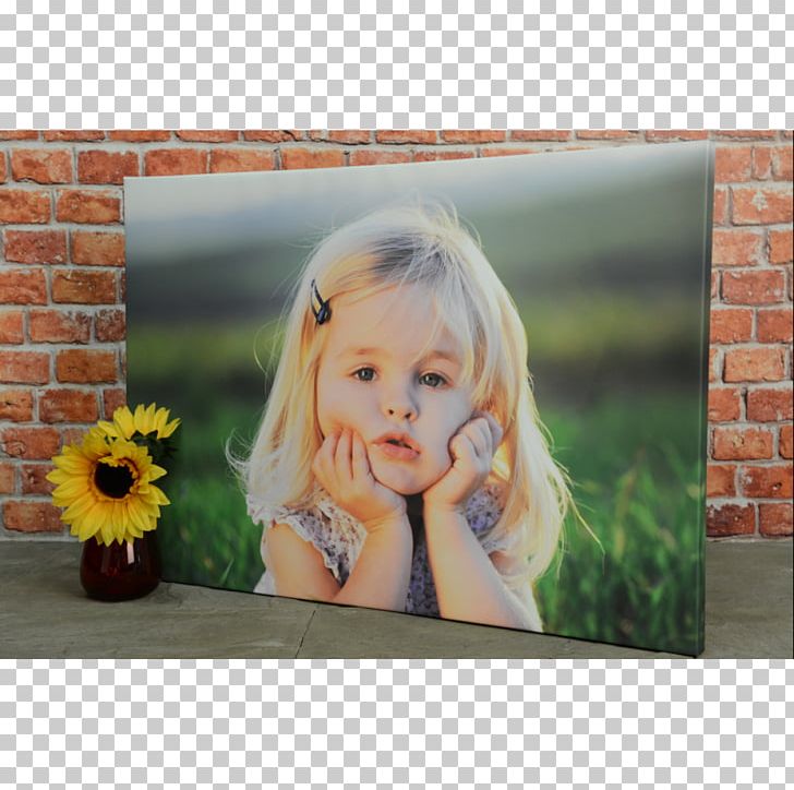 Motion Photography Canvas Print Apple PNG, Clipart, Apple, Canvas, Canvas Print, Child, Final Cut Pro Free PNG Download