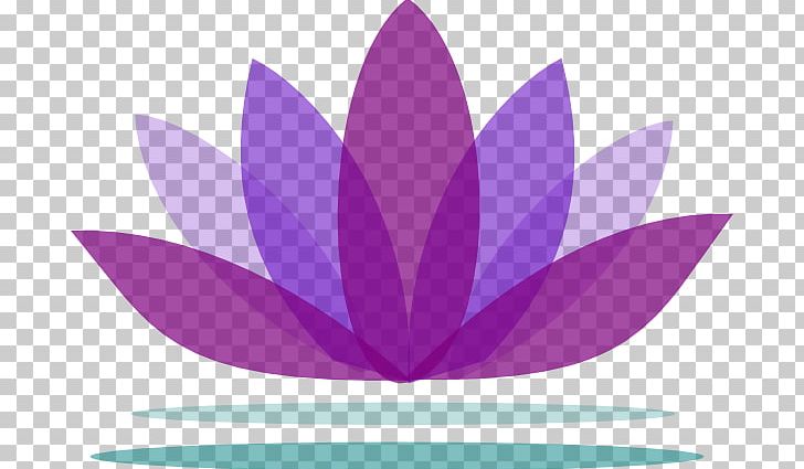 Nelumbo Nucifera PNG, Clipart, Background, Clip Art, Copyright, Document, Flower Free PNG Download