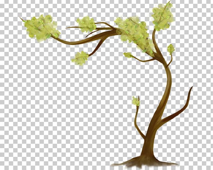 Tree Leaf Branch PNG, Clipart, Arama, Branch, Cari, Deciduous, Digital Image Free PNG Download