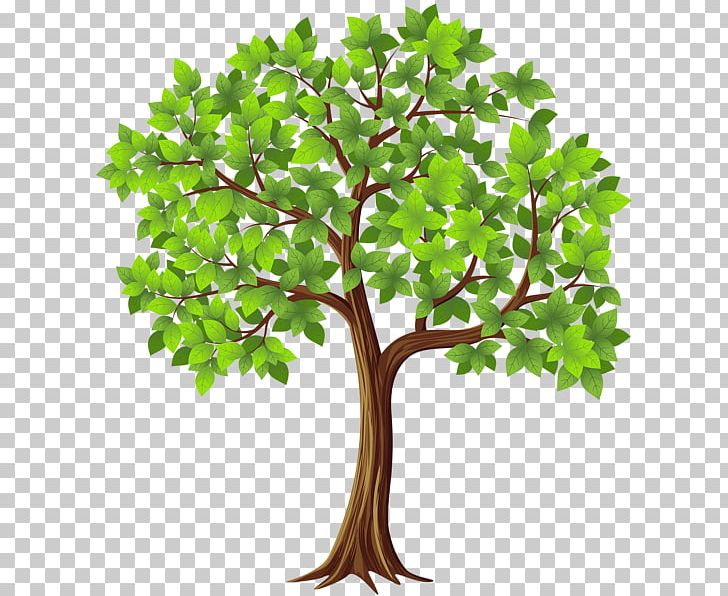 Tree PNG, Clipart, Animation, Apng, Branch, Document, Download Free PNG Download