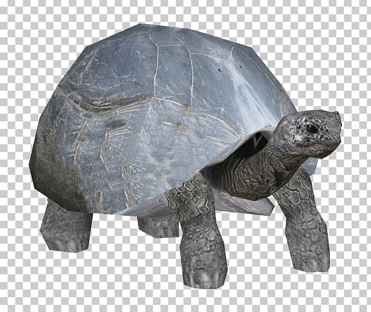 Turtle Aldabra Giant Tortoise Reptile PNG, Clipart, Aldabra, Aldabra Giant Tortoise, Animal, Animal Figure, Animals Free PNG Download