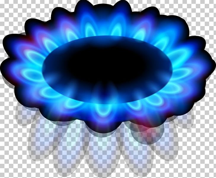 Flame Euclidean Fire PNG, Clipart, Blue, Blue Flame, Circle, Computer Wallpaper, Electric Blue Free PNG Download