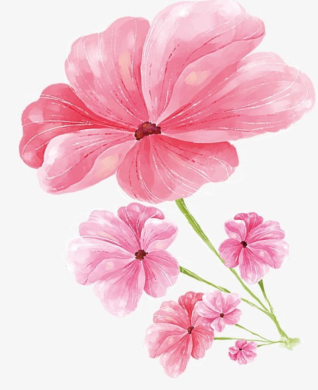 Pink Flowers PNG, Clipart, Flowers, Flowers Clipart, Hand Painted, Hand Painted Flowers, Pink Free PNG Download