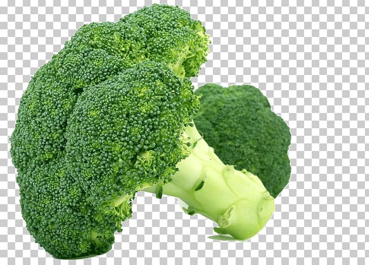 Romanesco Broccoli Vegetable Food PNG, Clipart, Broccoli, Broccoli 0 0 3, Broccoli Art, Broccoli Dog, Broccoli Sketch Free PNG Download