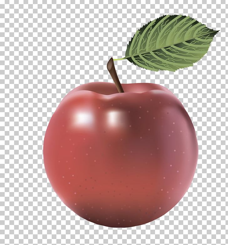 Apple Fruit PNG, Clipart, Apple, Apples, Encapsulated Postscript, Food, Fruit Free PNG Download