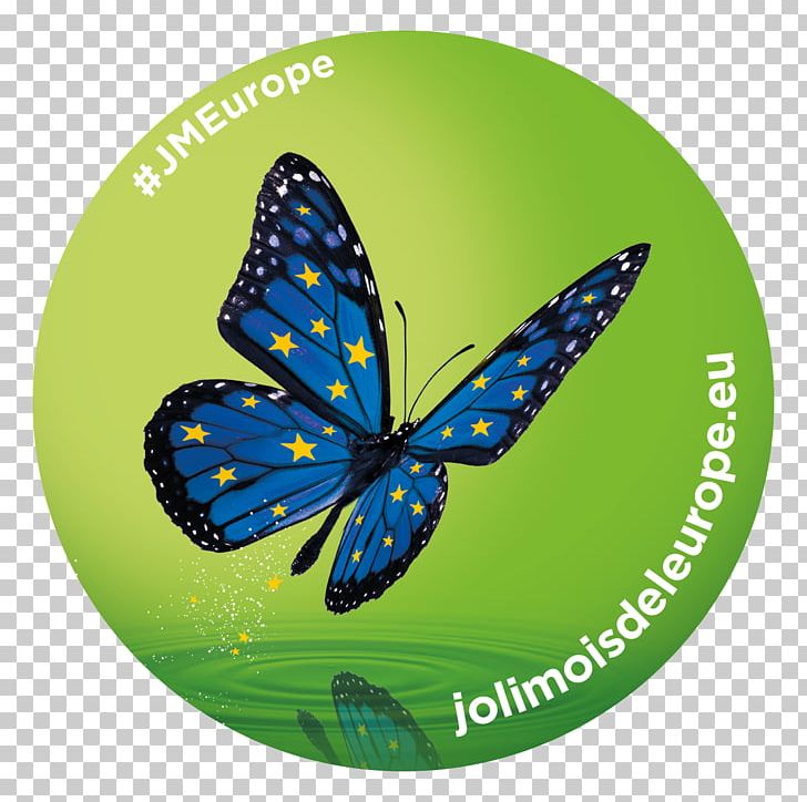 European Union Languedoc-Roussillon-Midi-Pyrénées Regions Of France Aquitaine-Limousin-Poitou-Charentes May PNG, Clipart, 2018, Aquitainelimousinpoitoucharentes, Brush Footed Butterfly, Butterfly, Convention Free PNG Download