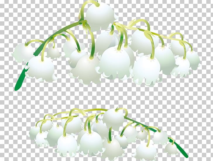 Lily Of The Valley Orchids Salep PNG, Clipart, Alarm Bell, Bell, Bell Orchid, Bells, Cartoon Free PNG Download