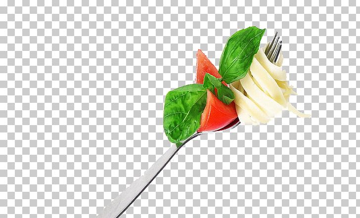 Take-out Ravioli Fork Food Gourmet PNG, Clipart, Bread, Cake, Cooking, Cutlery, Food Free PNG Download