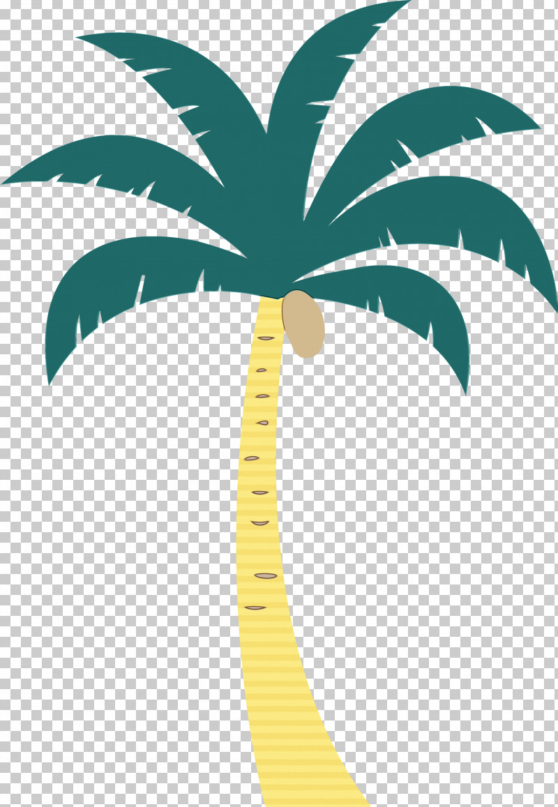 Palm Trees PNG, Clipart, Beach, Biology, Cartoon Tree, Leaf, Line Free PNG Download