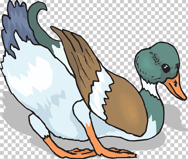 Duck Bird Pixabay PNG, Clipart, Animals, Beak, Bird, Color, Colorful Background Free PNG Download