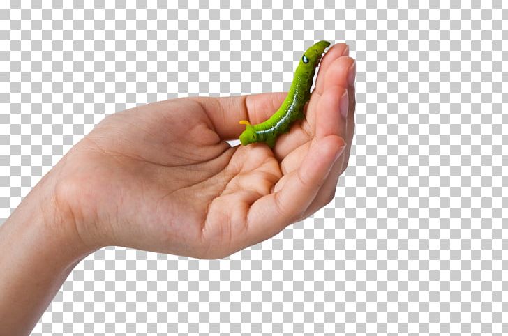 Earthworm Euclidean Caterpillar Icon PNG, Clipart, Animal, Animals, Cartoon Caterpillar, Cat 988h Wheel Loader Caterpillar, Caterpillars Free PNG Download